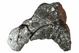Polished Stony-Iron Mesosiderite Meteorite ( grams) - Chile #242903-1